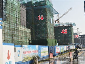 2023年11月住宅建設工程進度報告